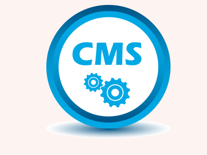 CMS development